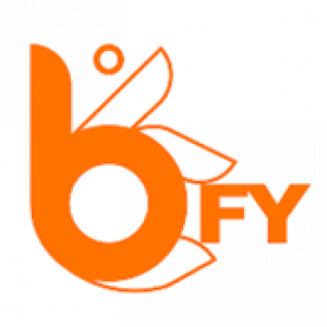 bfy-2